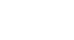 magnusdigitalassets.com partner