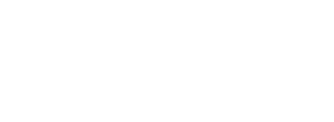 synergis